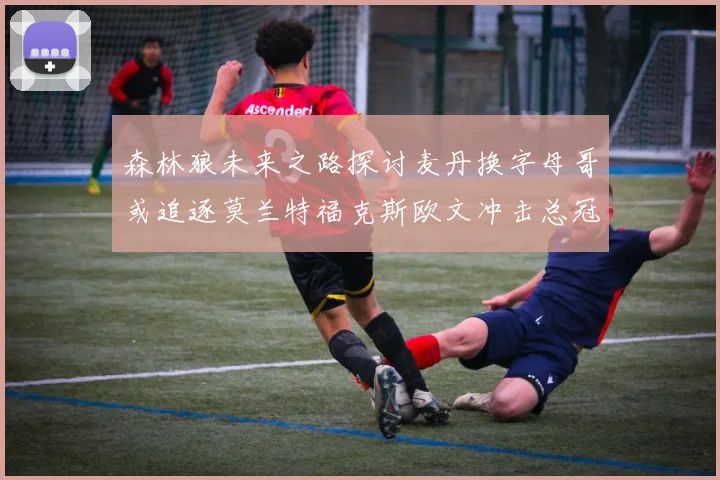 森林狼未来之路探讨麦丹换字母哥或追逐莫兰特福克斯欧文冲击总冠军